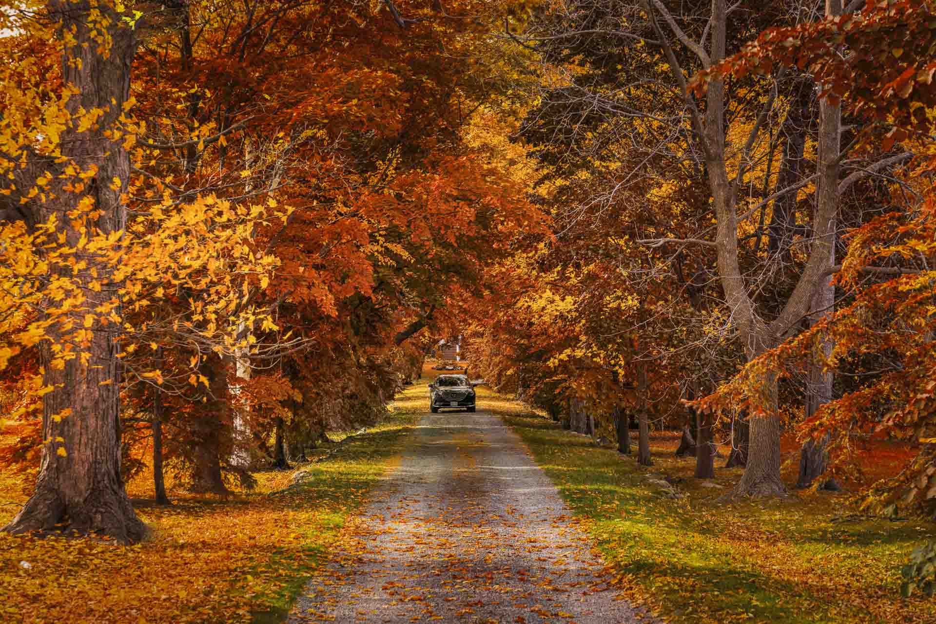 Best Day Trips from Toronto: 25 Easy Ontario Escapes